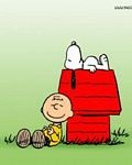 pic for Chuck Snoopy